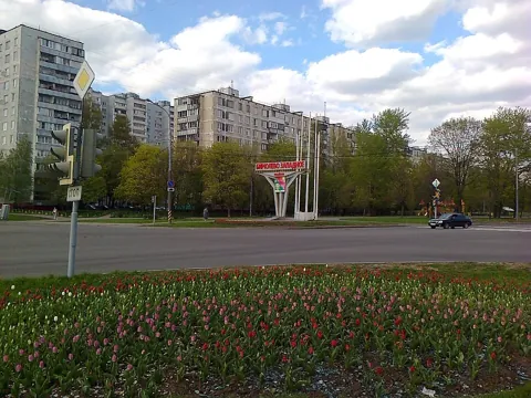 Бирюлёво Западное — вид района