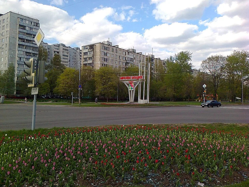 Бирюлёво Западное — вид района