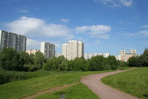 Братеево — вид района