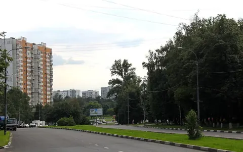 Царицыно — вид района