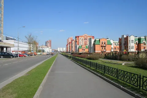 Куркино — вид района