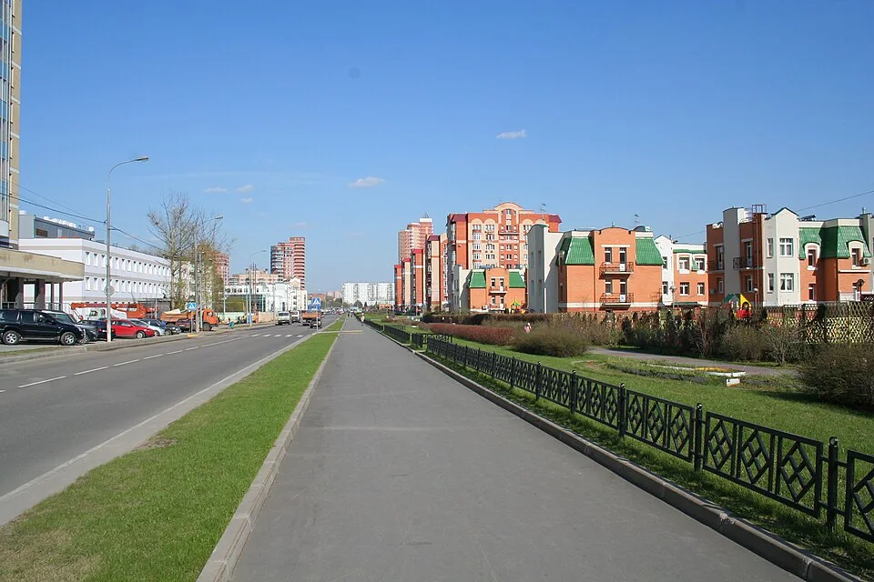 Куркино — вид района
