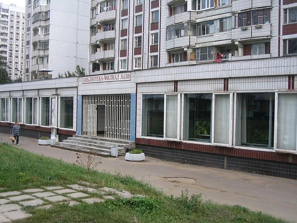 Новокосино — вид района