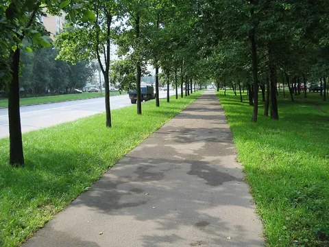Восточное Дегунино — вид района