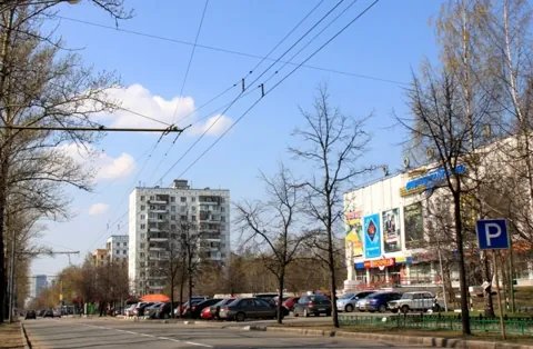 Восточное Измайлово — вид района