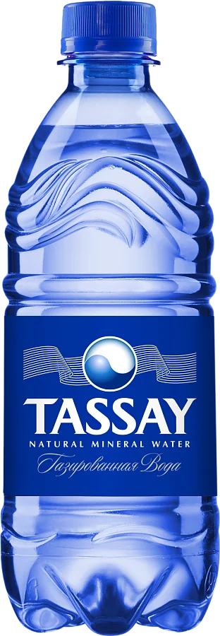 Вода артезианская газированная "Tassay" 0,5 л