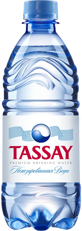 Вода артезианская негазированная "Tassay" 0,5 л